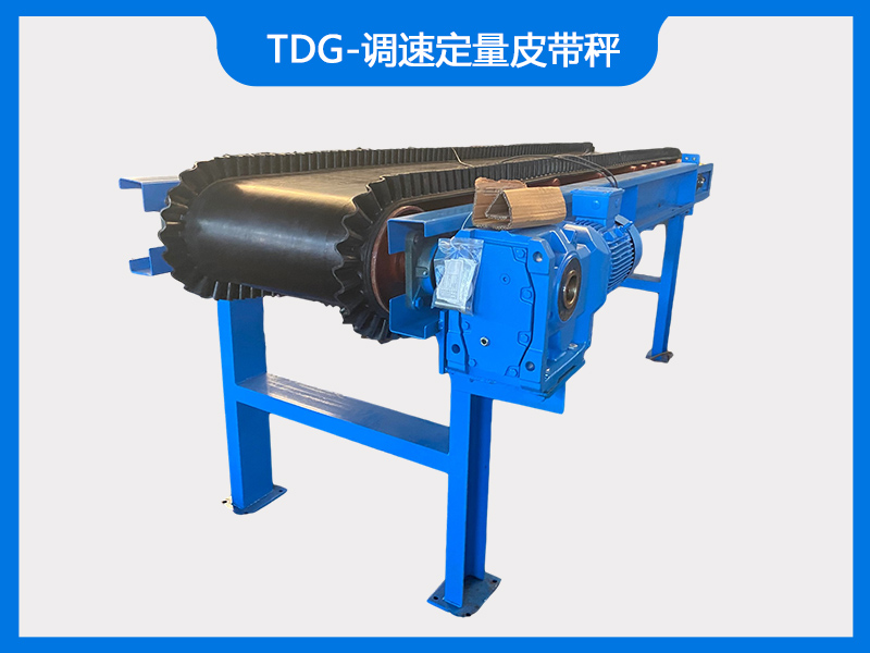 tdg-調速定量皮帶秤
